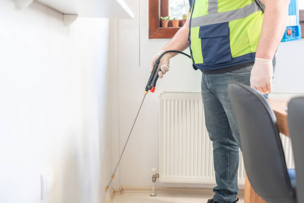 Best Flea Control Services  in Ransom Canyon, TX