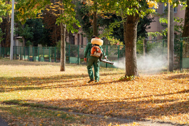 Pest Prevention Services in Ransom Canyon, TX