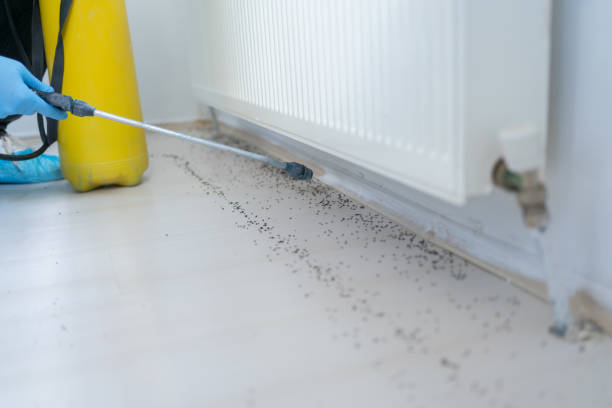 Best Affordable Pest Control Services  in Ransom Canyon, TX